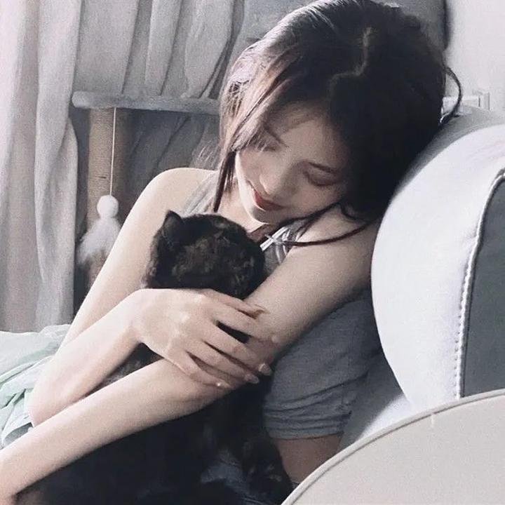 希特勒完蛋了 在线观看封面