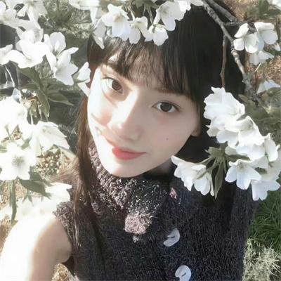 完全夏绿蒂 在线观看封面